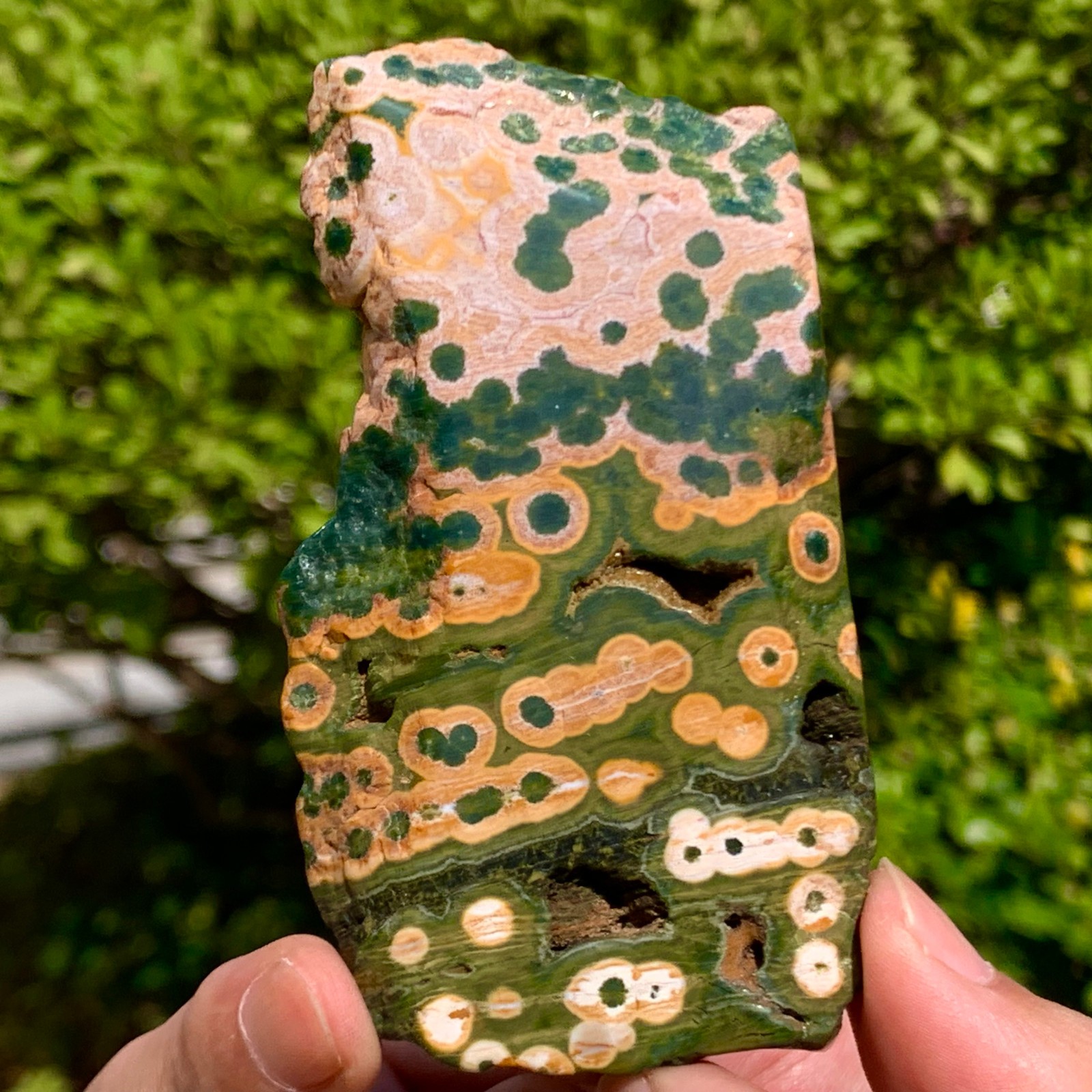 82G Natural Ocean Jasper Crystal SliceLarge Specimen Healing- Museum