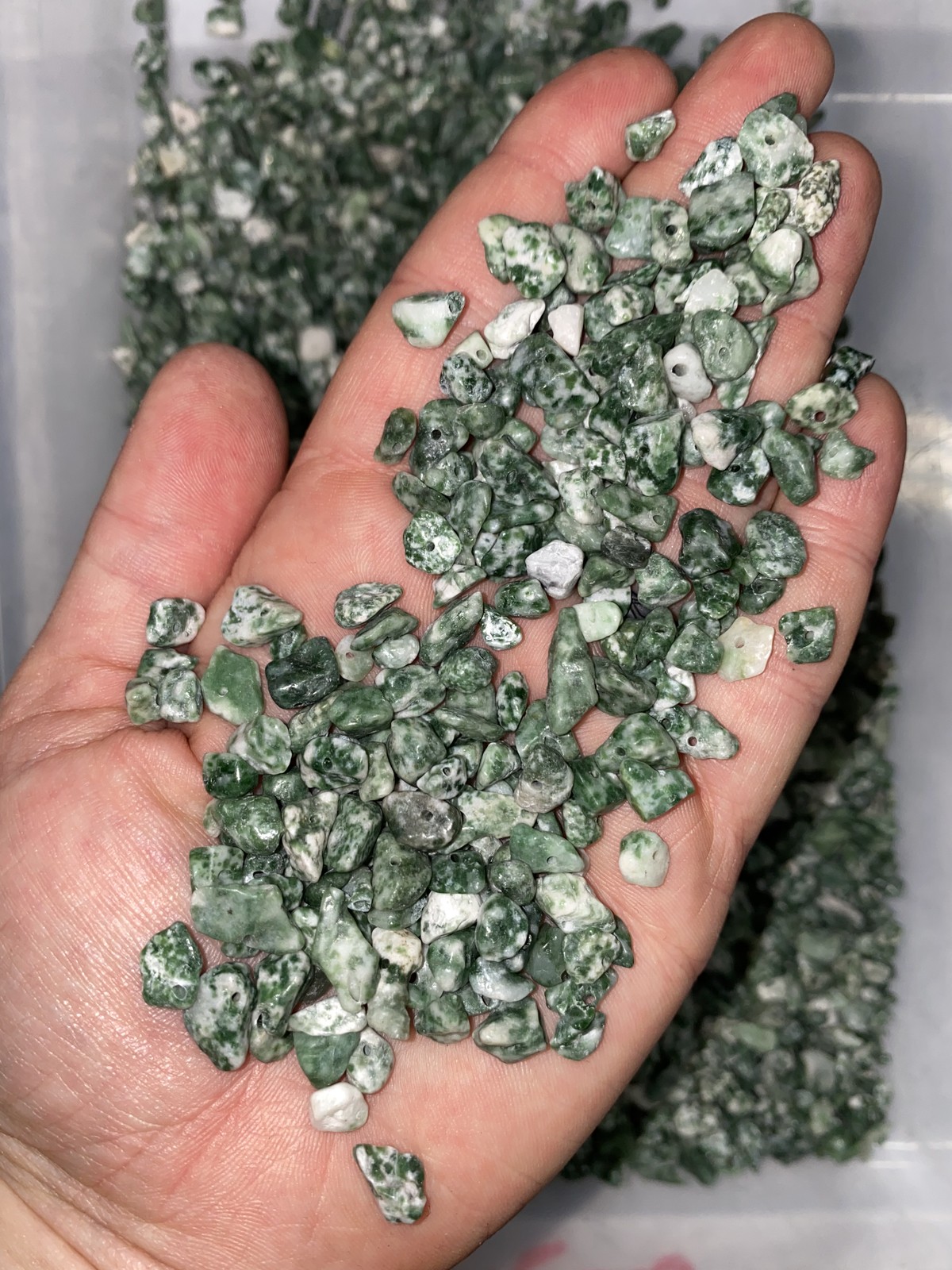Bulk 1lbs Bag of Tree Agate Polished Chips (5mm – 7mm) Medium, Gemstone Chips