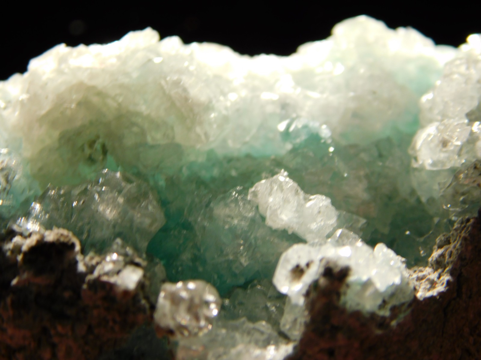 Light BLUE! CHRYSOCOLLA Cluster with Translucent Druzy Quartz Mexico 195gr