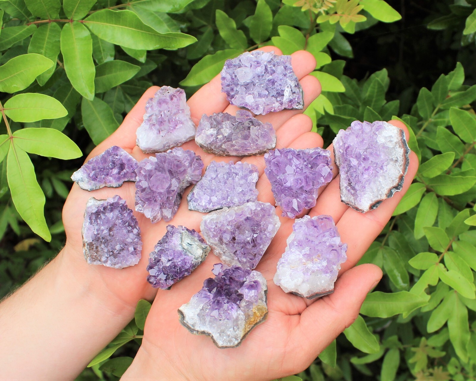 Wholesale Amethyst Cluster Box: A Grade Premium Quality Bulk Amethyst Geodes Box