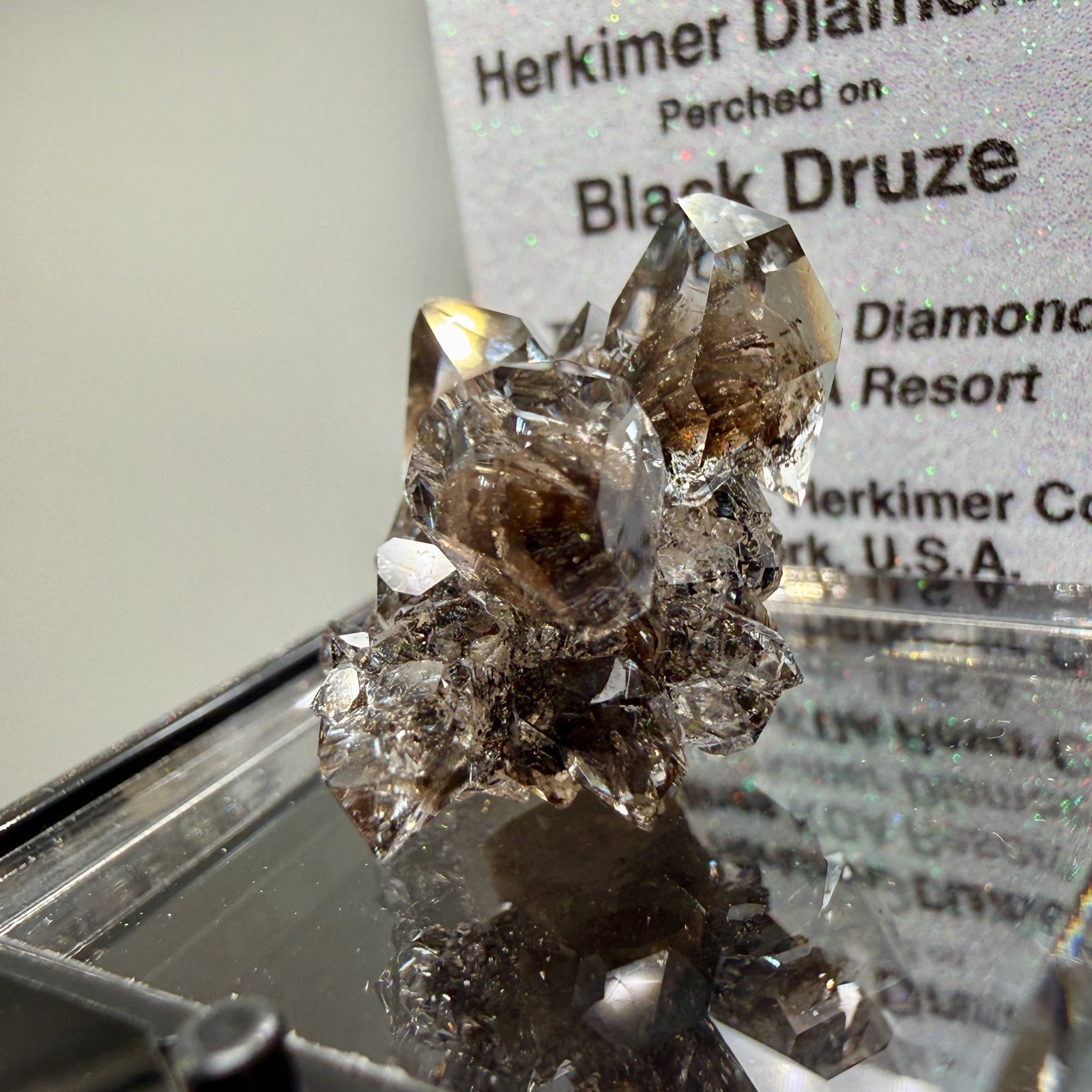 Herkimer Diamond Gems Perched on Druzy Matrix, Complete Floater, Top Shelf Piece