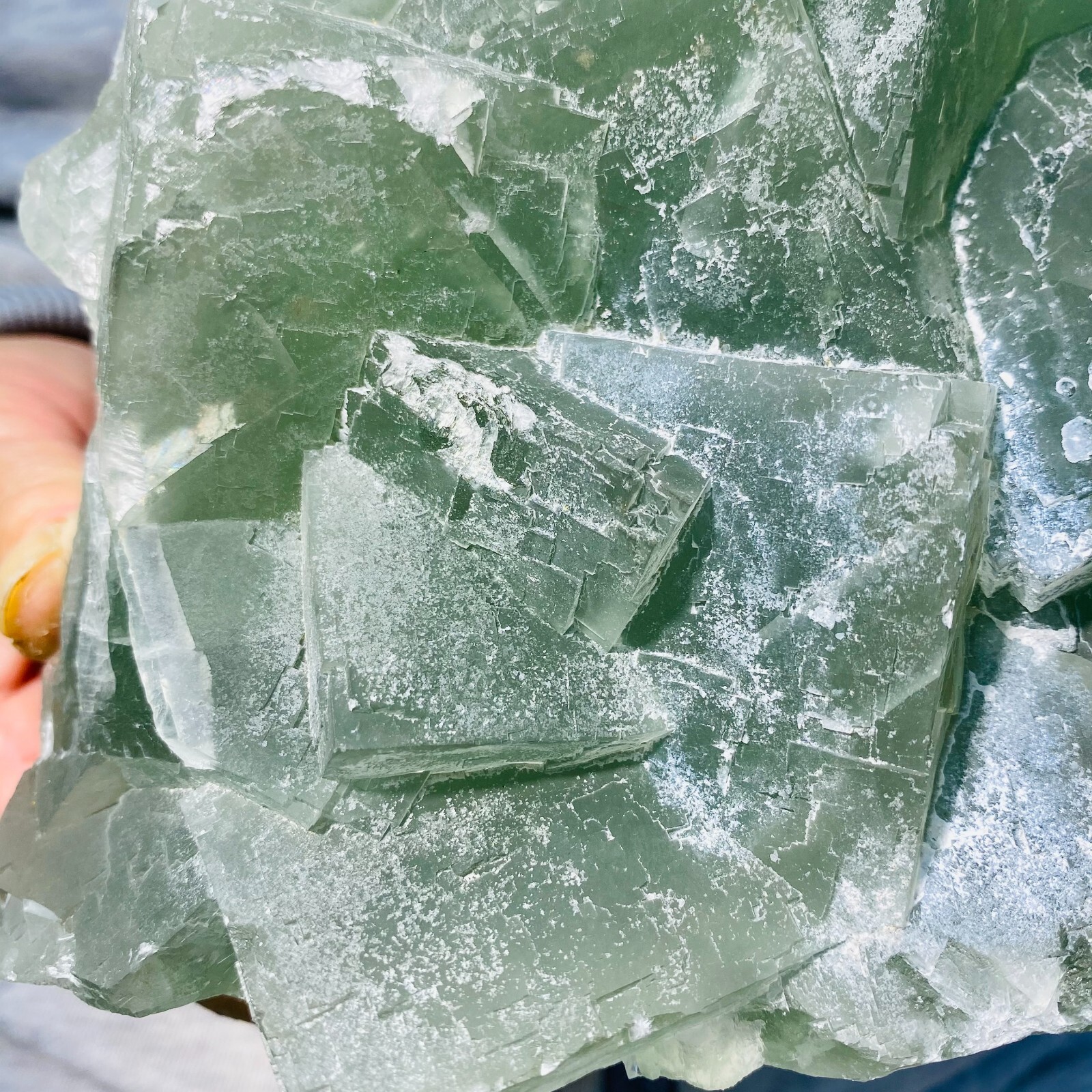 7.0LB Large Natural Light Green Fluorite Cubic Crystal Rough Healing Specimen