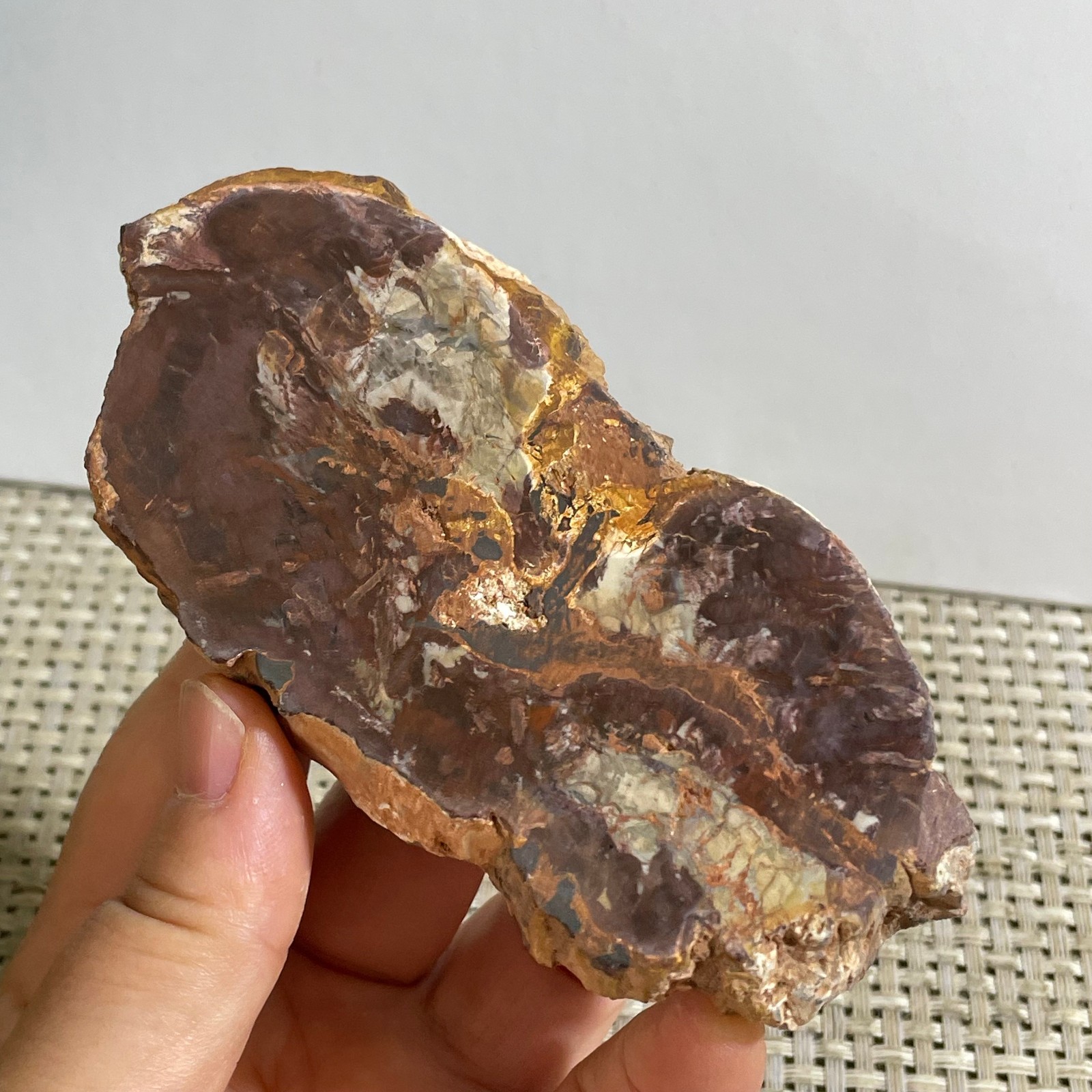 Natural Polished Petrified Wood Crystal Slice Madagascar 175g