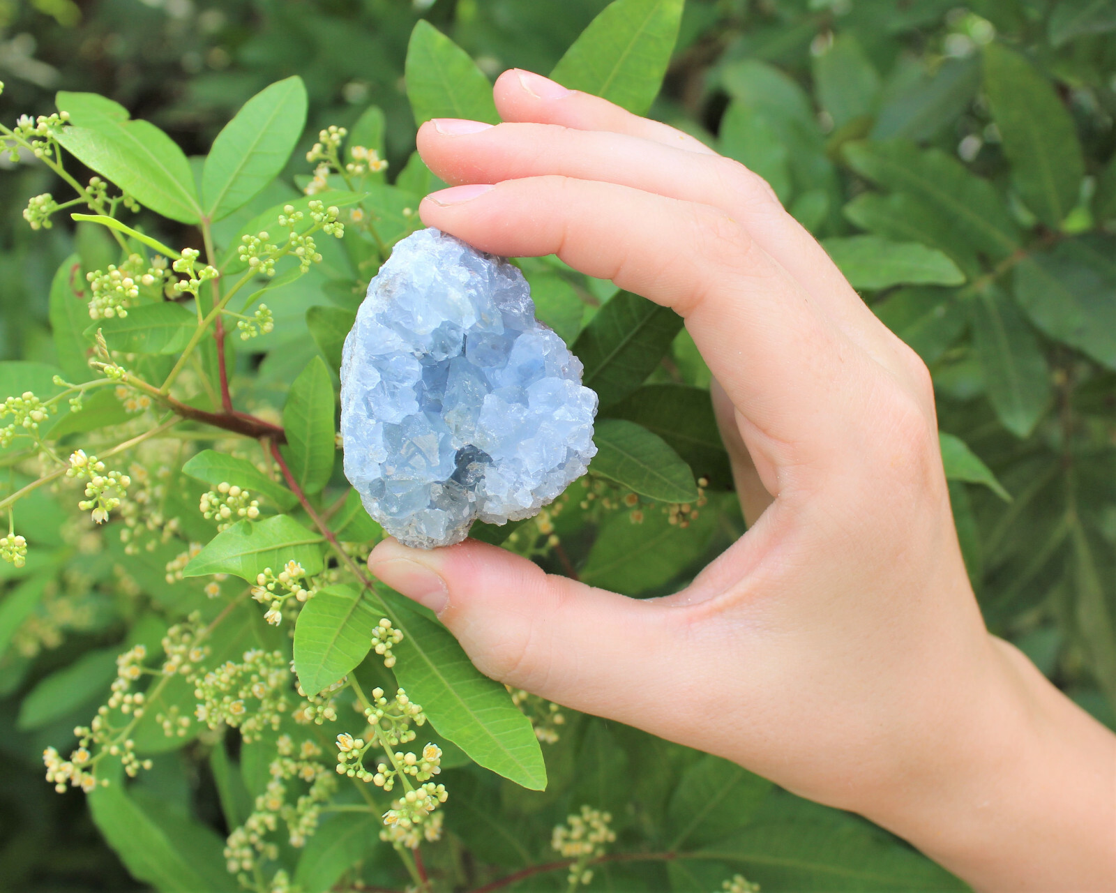 Natural Celestite Clusters – Wholesale Bulk ‘A’ Grade: 10-15 Piece Bulk Box Lot