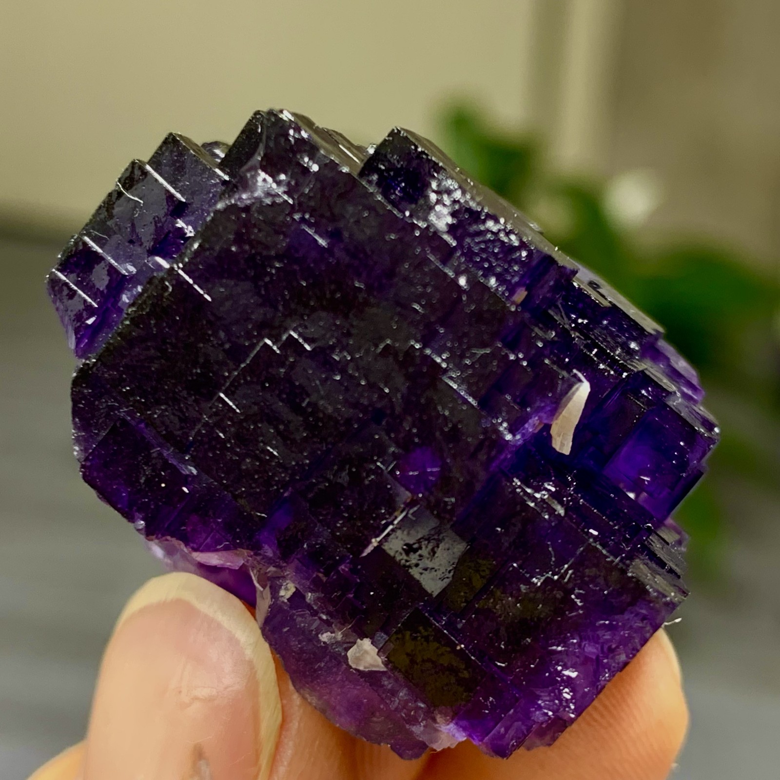 40G Natural purple framed cubic fluorite mineral specimen/Inner Mongolia