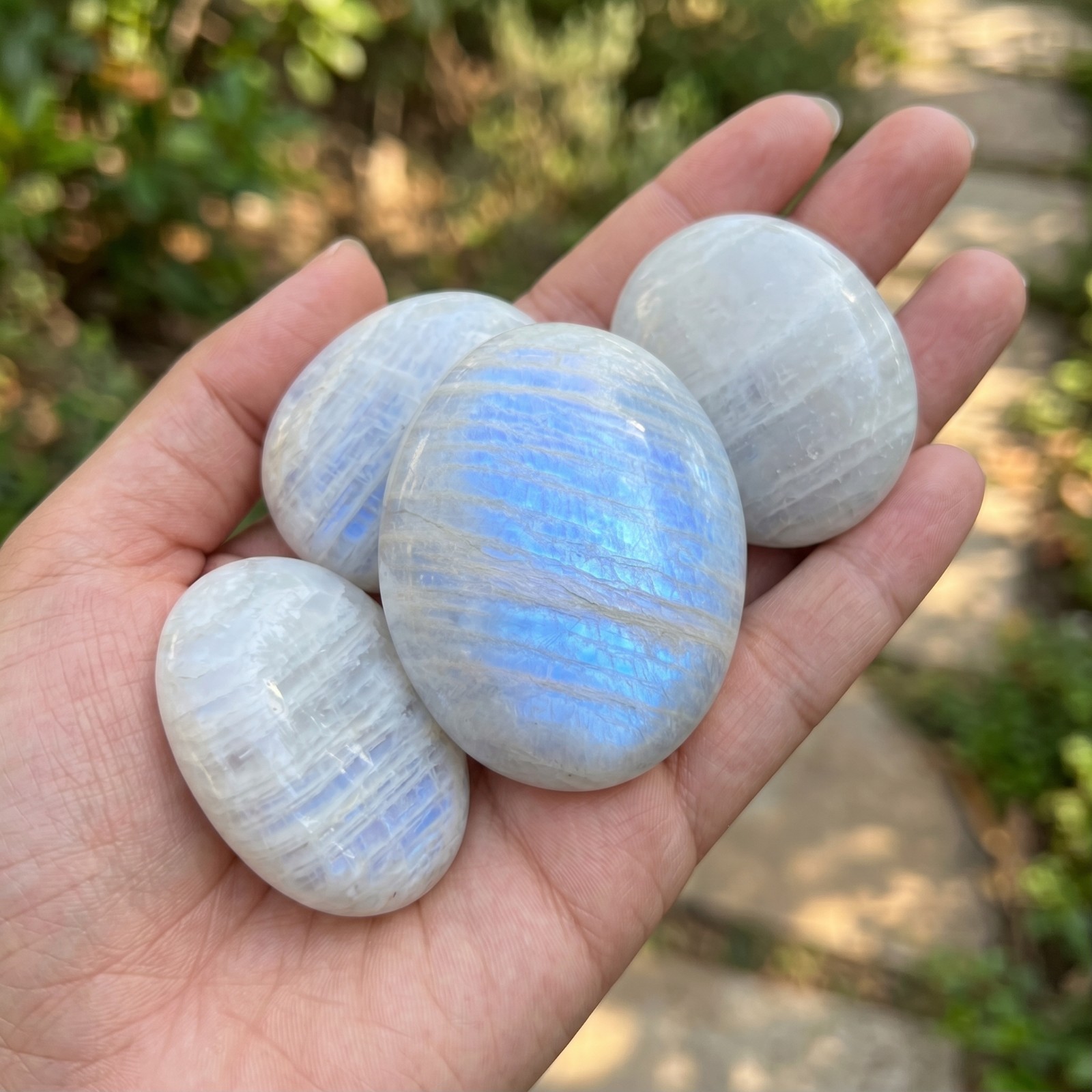 Moonstone Palm Stone 5-8cm Natural Blue Flash Healing Crystal