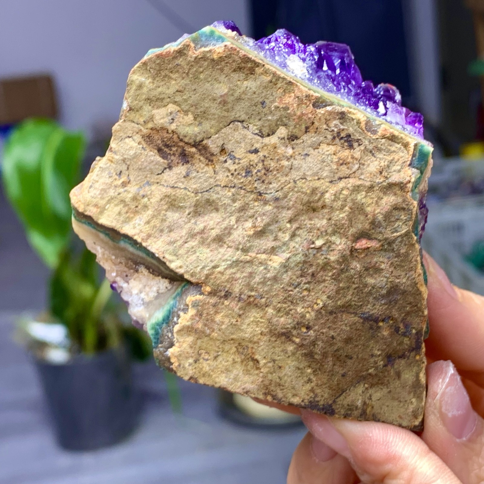239G Natural Amethyst geode quartz clustercrystal specimen Healing