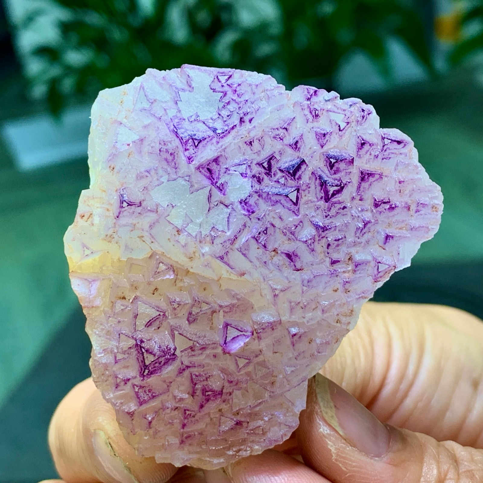 100G Natural fluorite purple edged cubic crystal mineral sample