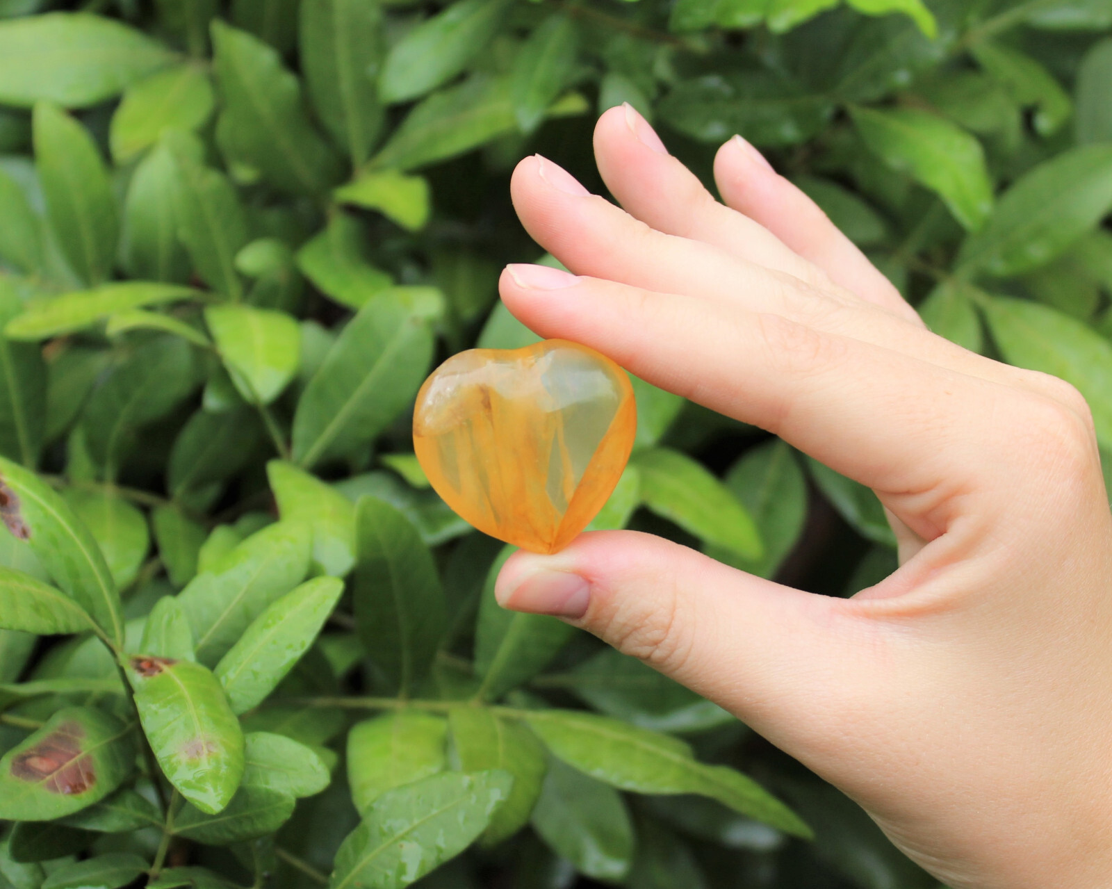 Golden Healer Quartz Heart: 1 – 1.25″ (Hematoid Quartz Heart, Crystal Heart)