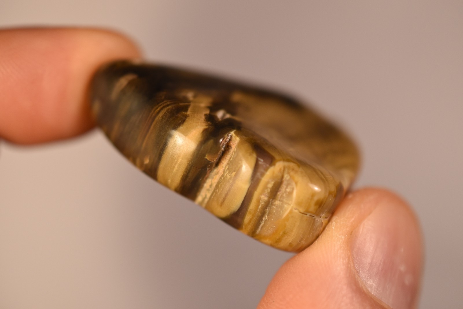 2 *AUSTRALIAN PETRIFIED WOOD* Tumbled Stones 4cm 58.2g Natural Stone QLD
