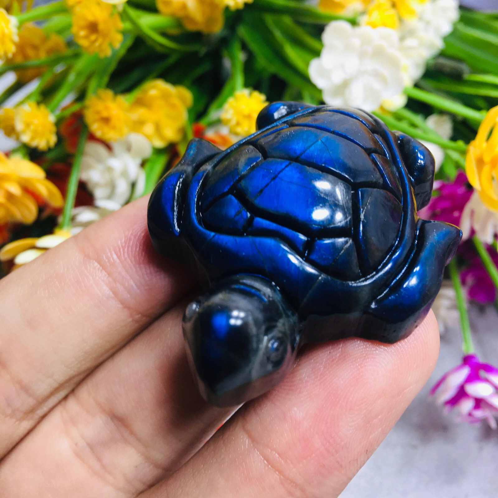 Natural Labradorite tortoise Quartz Skull Crystal Sea Turtle Reiki Healing Gift