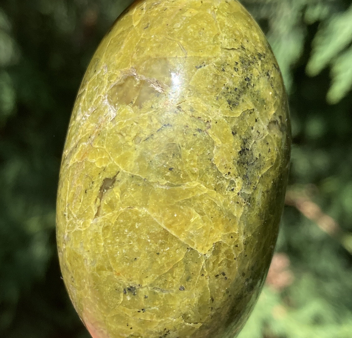 Handmade Polished GREEN OPAL Healing Crystal Palm Stone Pebble MADAGASCAR 2.28″