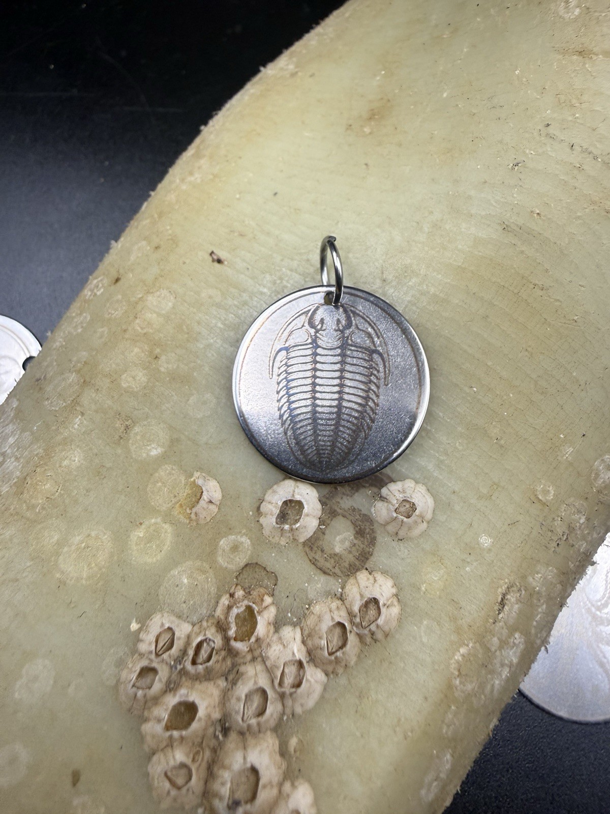 Trilobite Pendant 26mm Stainless Steel
