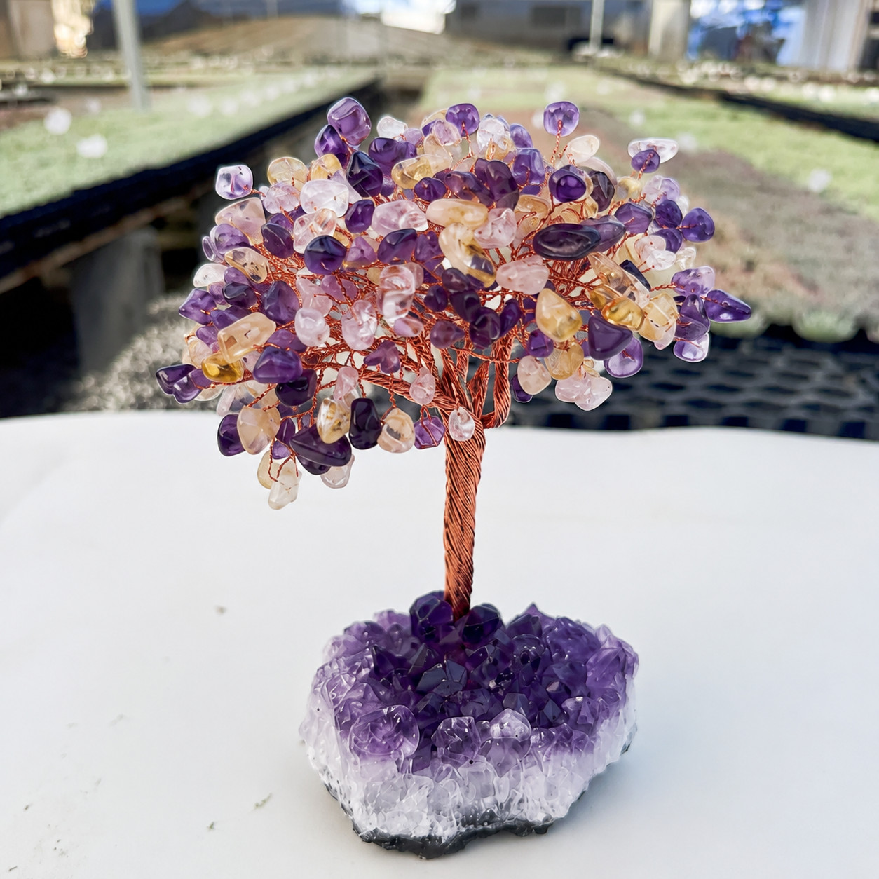 Natural Citrine Amethyst Crystal Tree Money Tree of Life Feng Shui Home Decor