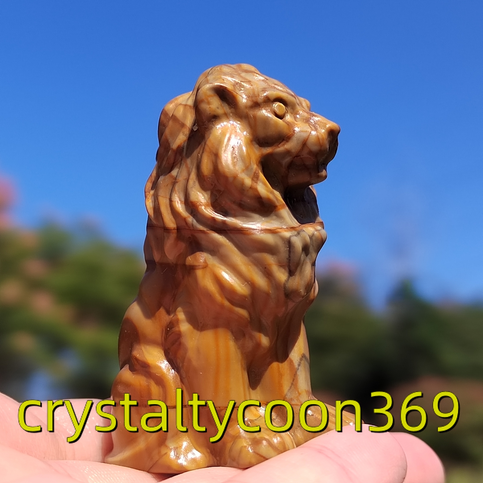 2″ Natural Quartz Crystal Lion Skull Hand Carved Quartz Crystal Reiki Animal 1pc