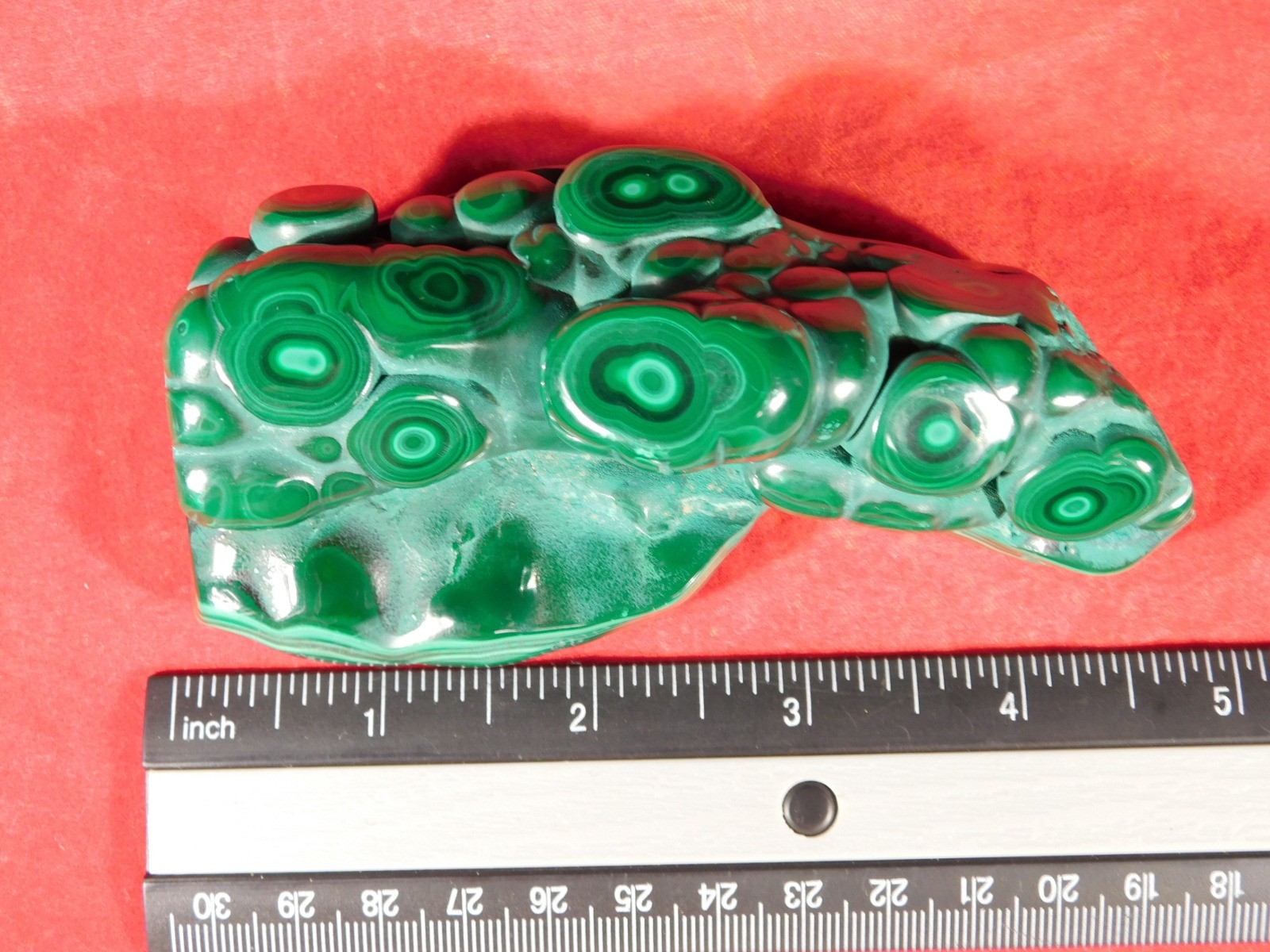 BIG! Polished Deep GREEN Malachite STALACTITE or Stalagmite From the Congo 393gr