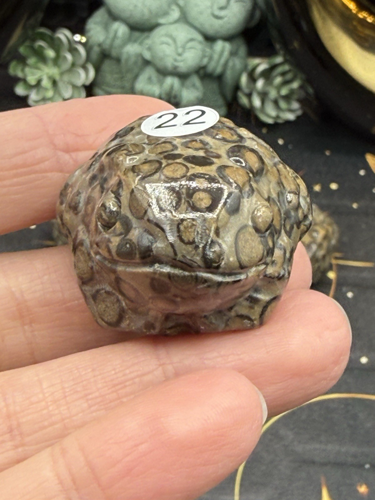 Natural Leopard Skin Japser Baby Toads O.M.G cute & Life like! Free shipping