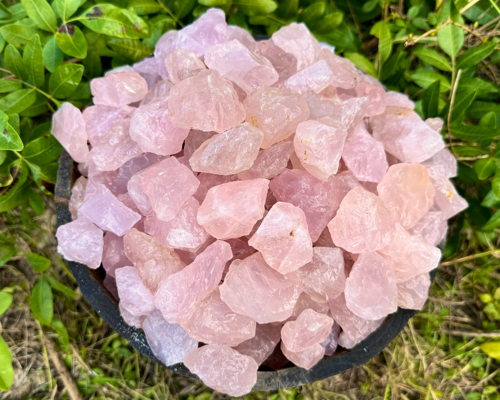 1/4 lb Bulk Lot Natural Rough Rose Quartz Crystals (Raw Reiki Love Healing 4 oz)