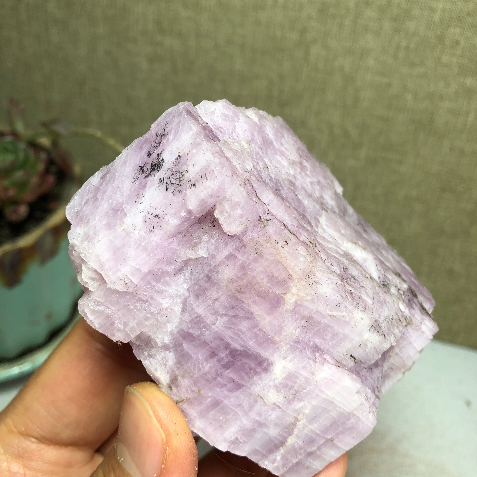 69-57-37mm NATURAL ROUGH KUNZITE PINK SPODUMENE CRYSTALS 194g A3647