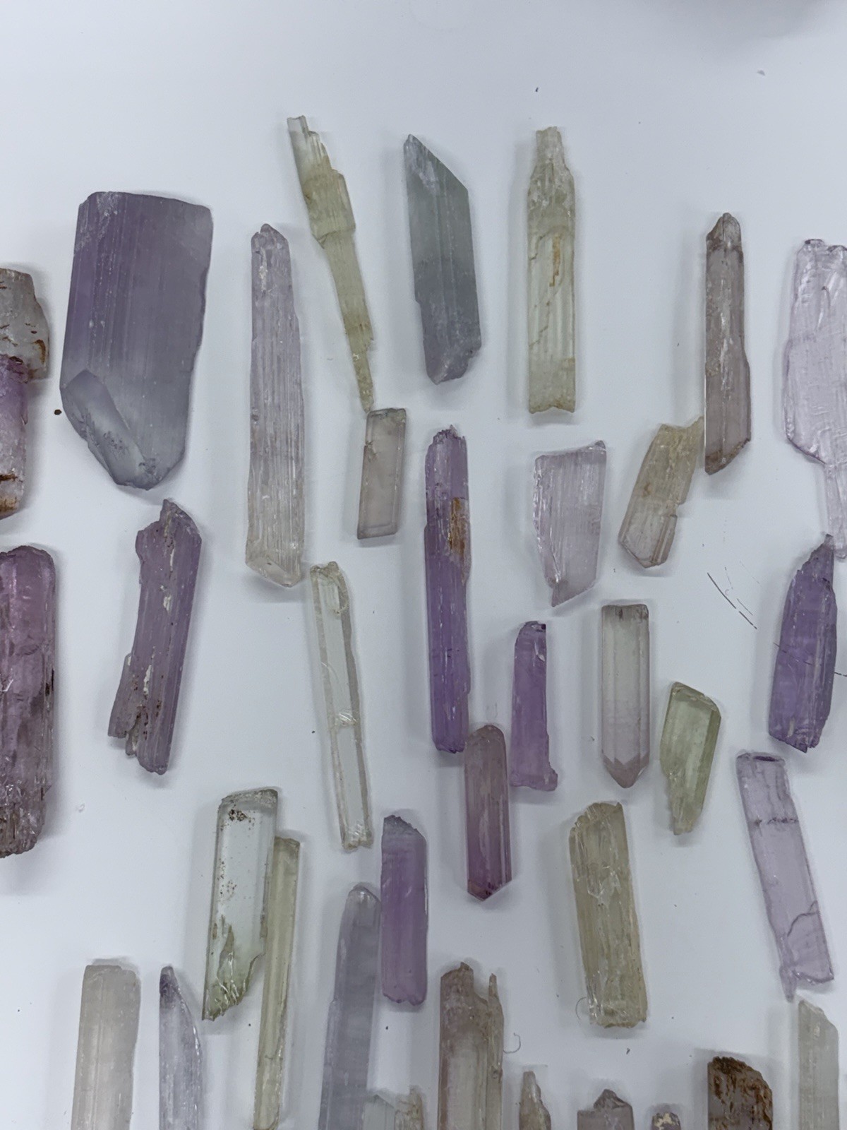 Exceptional Lot of Kunzite From Pakistan – includes bicolor and tricolor 4lb 6oz
