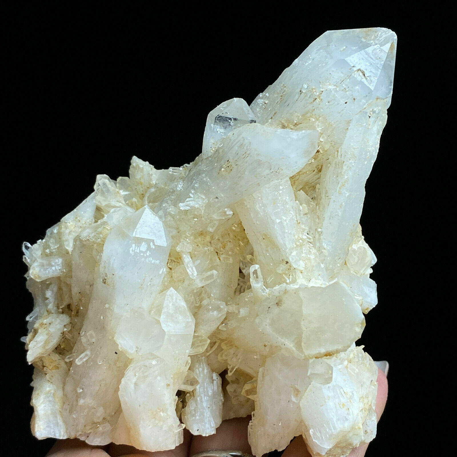314g Natural Translucent White Bone Crystal Cluster Mineral Specimen
