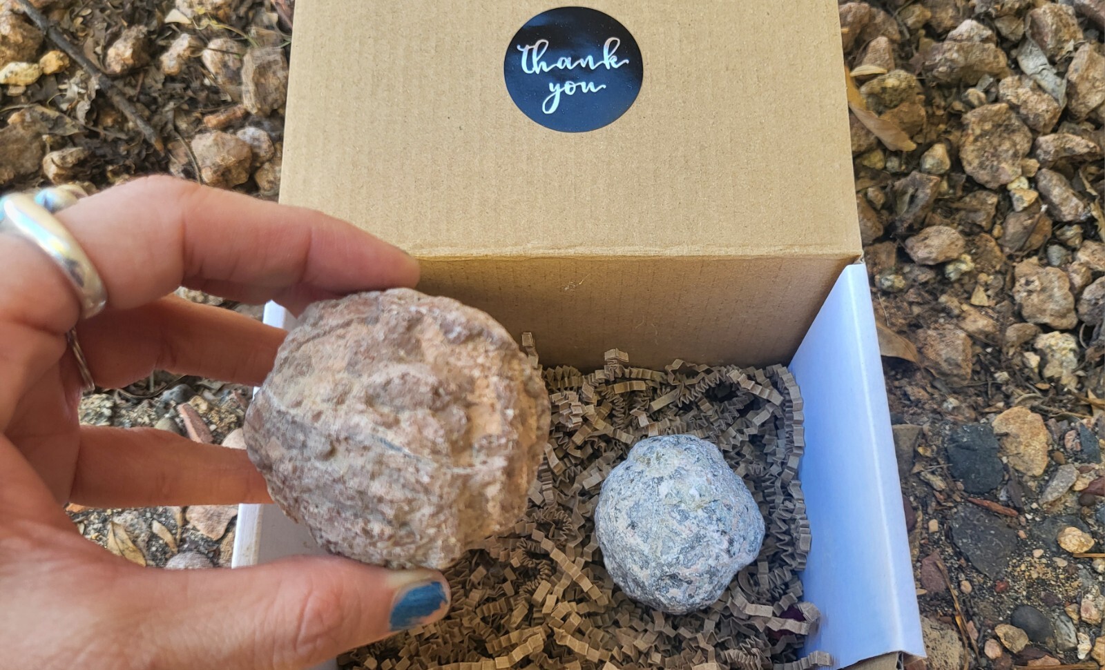 Break Your Own Geode Box Set Lapidary Crystals Rocks Thunder Egg Trancas Geode