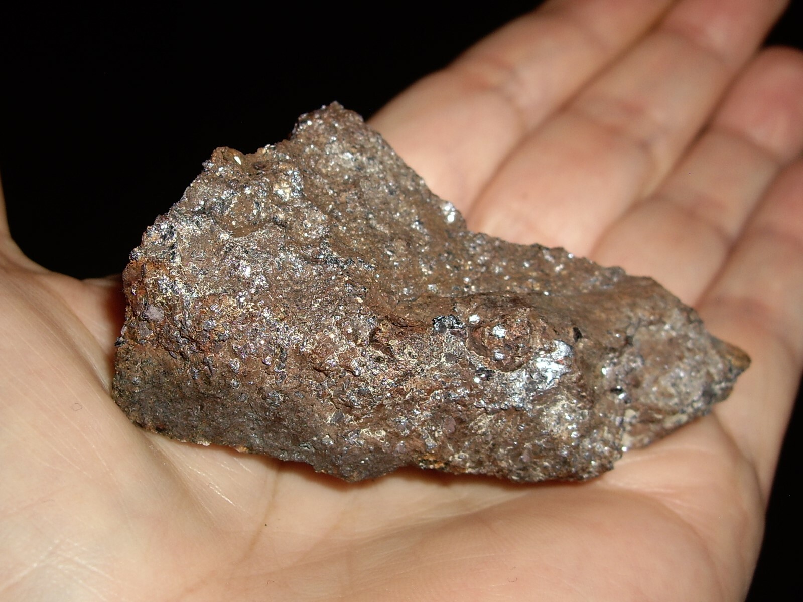 Shiny Molybdenite Sprinkles on Unknown Host Rock 79.5g