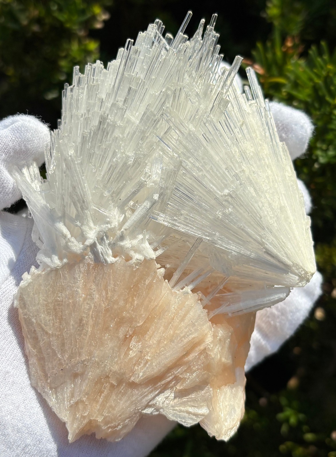 USA SALE 262g 4.3″ x 3.3″ LARGE SCOLECITE STILBITE SPECIMEN Fan/Blades/Spray