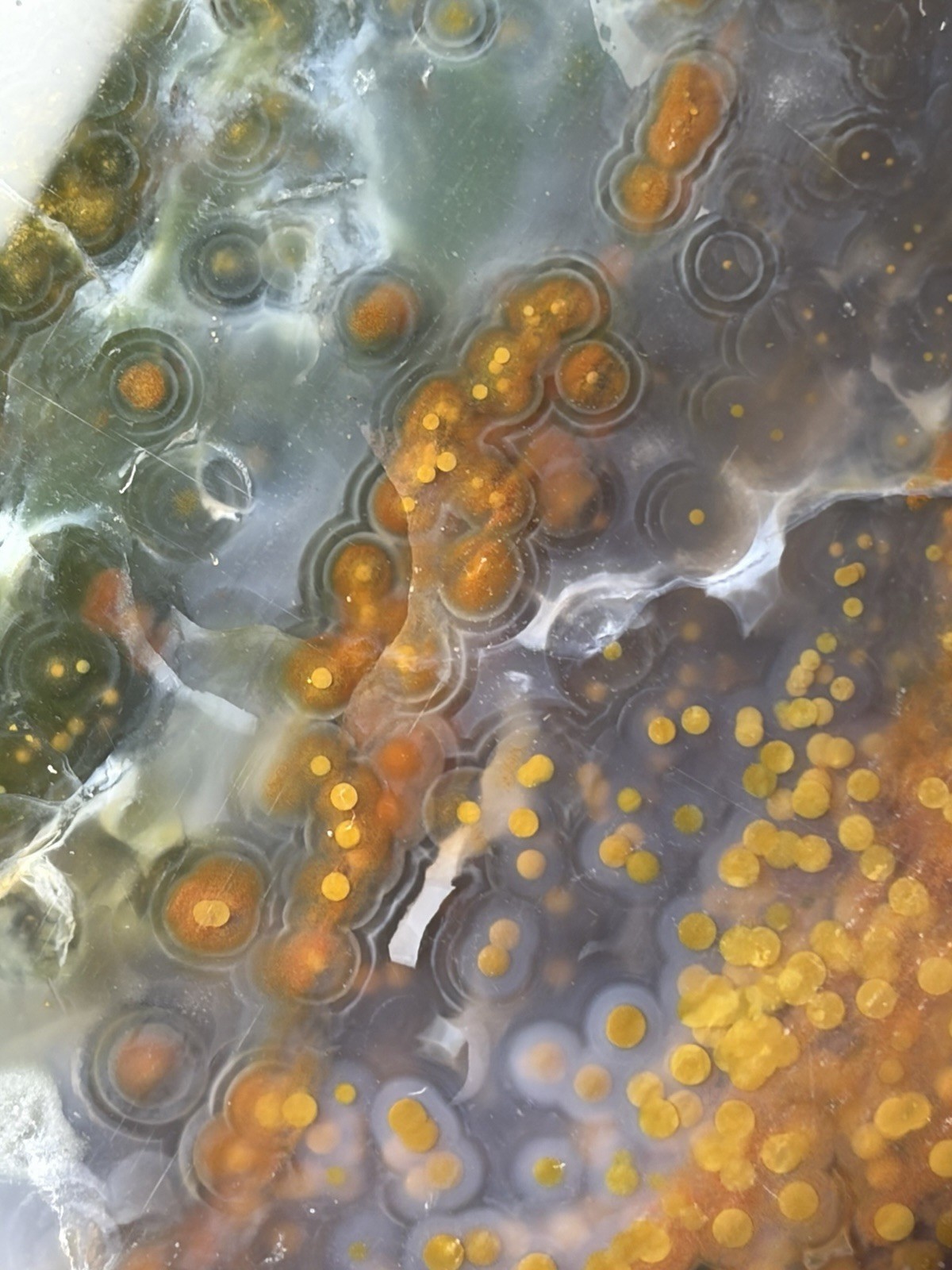 Jelly Ocean Jasper Free Form Colorful Orbs