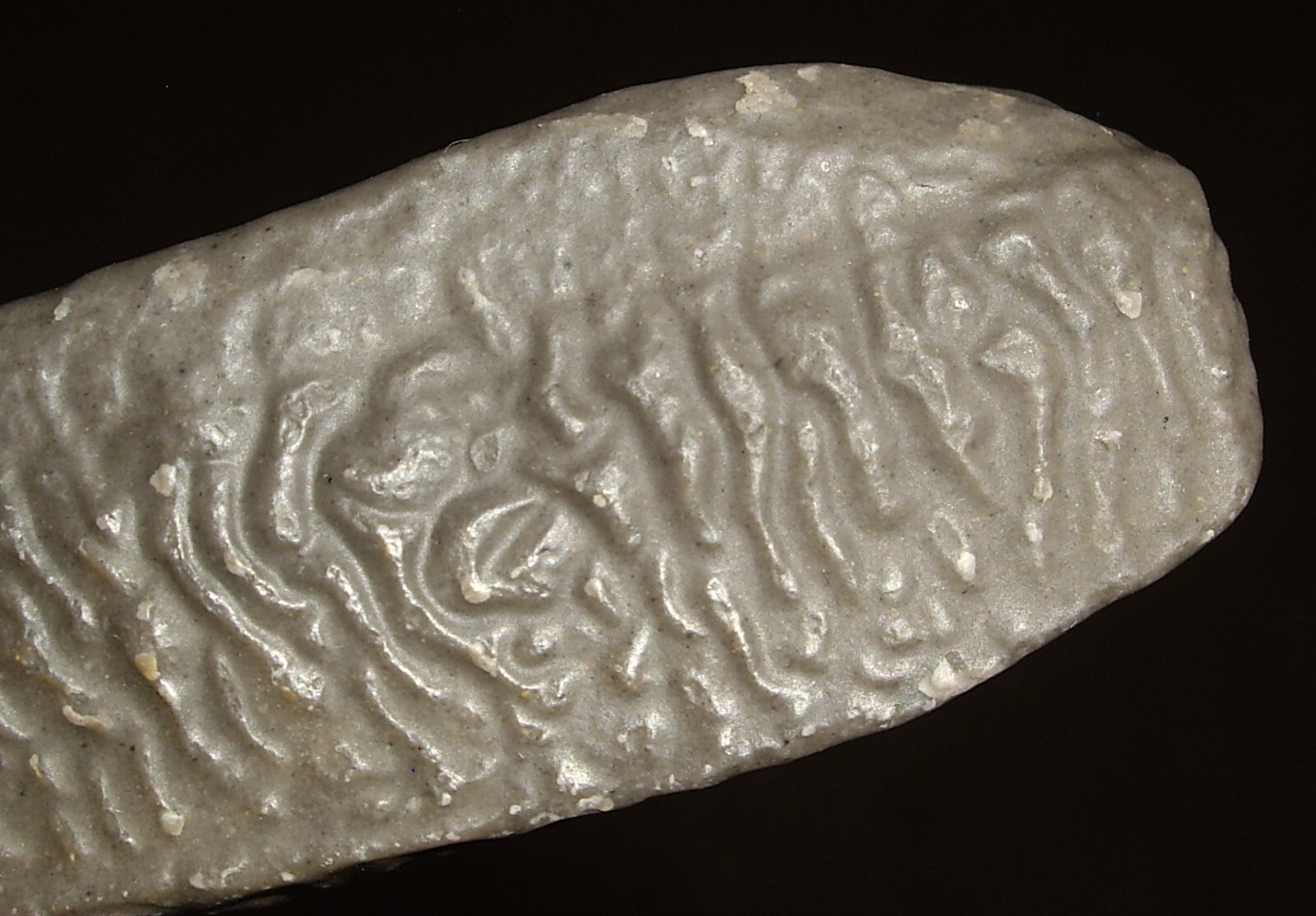 Awesome Wind Carved Wrinkle Stone from Gobi Desert 62g
