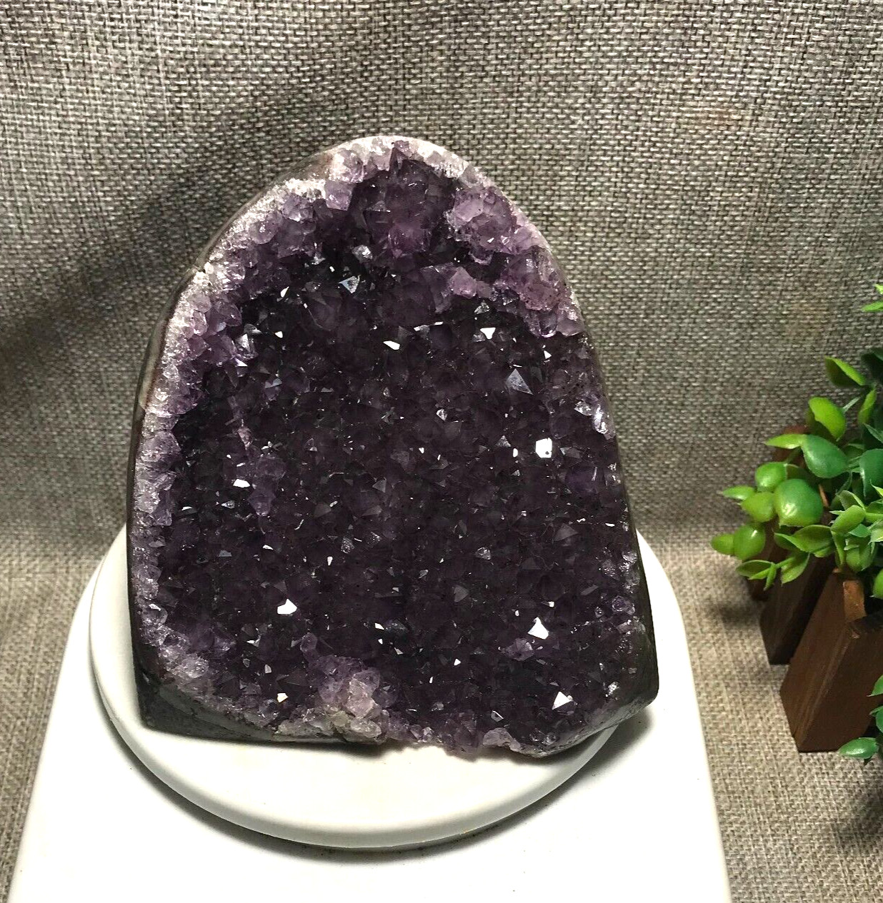 1570g Natural Amethyst Cluster Geodes Cut Base Quartz Crystal Healing 33