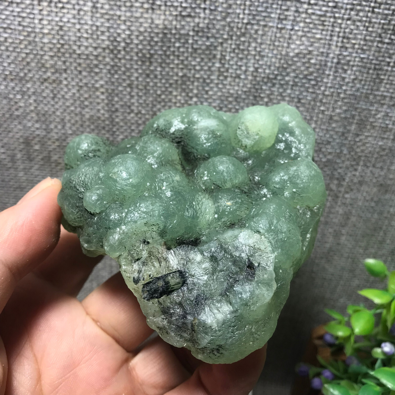 219g Natural Green chalcedony grape agate crystal specimen Indonesia 09