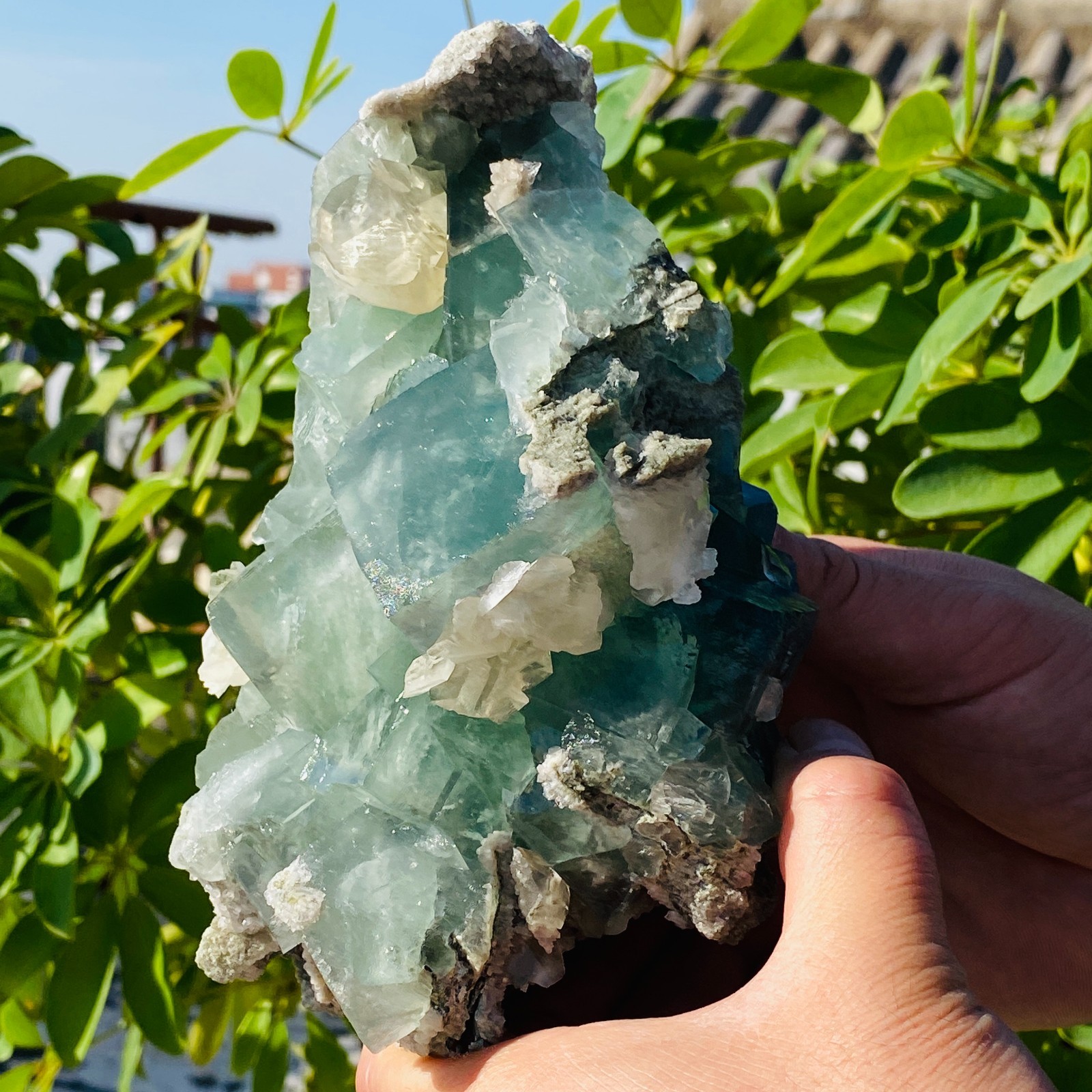 1706g Natural transparent blue green fluorite mineral crystal sample/China