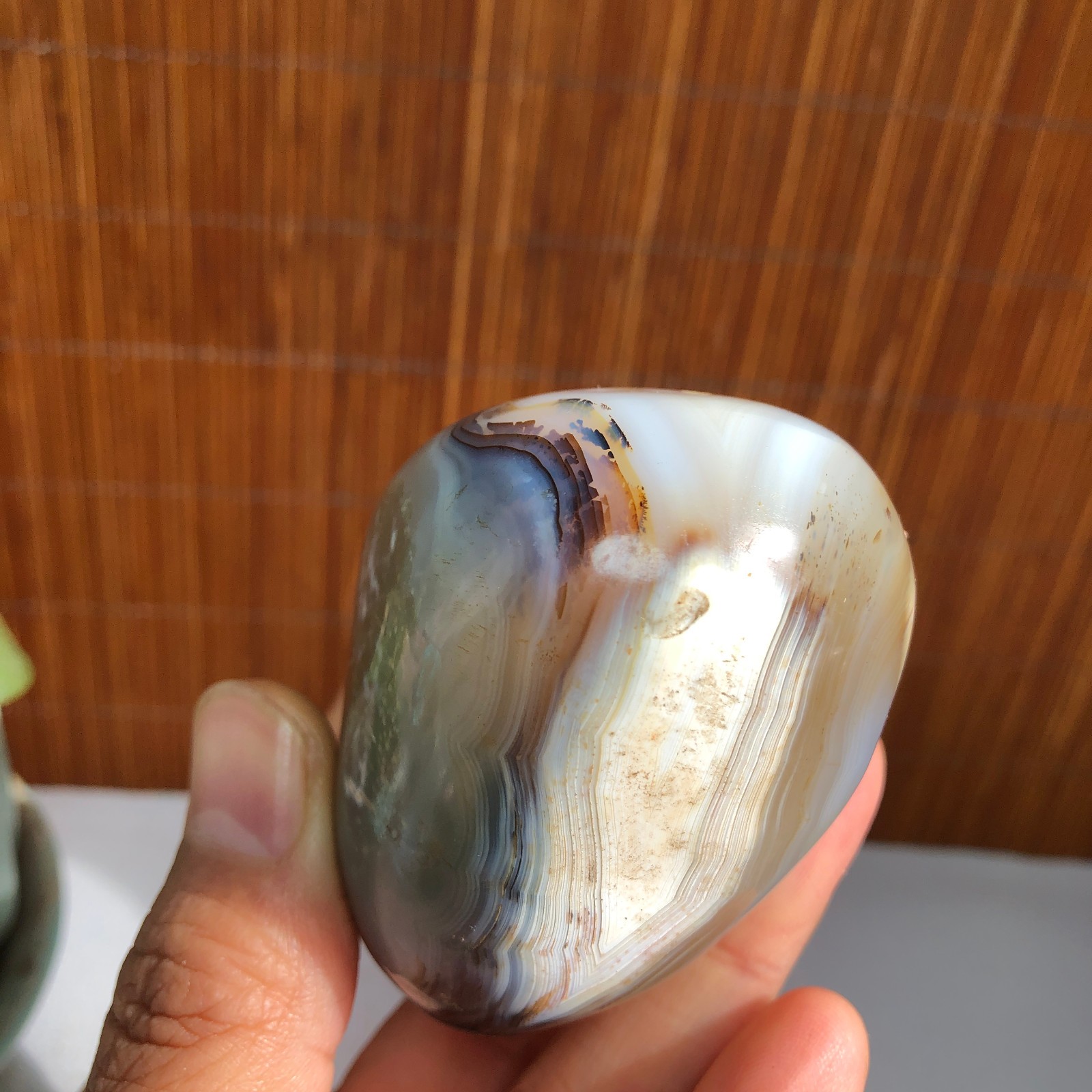 80mm Natural aquatic plants agate pretty Crystal specimens 235g A1485