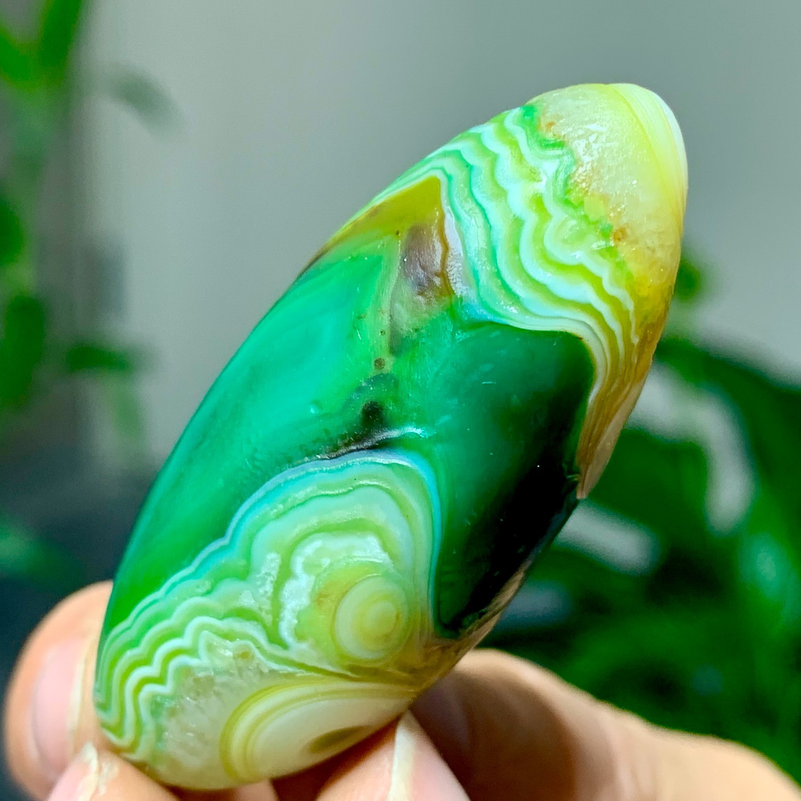 28G Natural green gobi agate eye crystal Circular pattern mineral healing B205