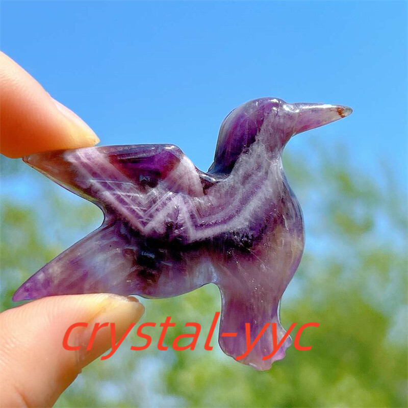 2″+ Natural Dreamy Amethyst Humming Bird Carved Quartz Crystal Skull Reiki 1pc
