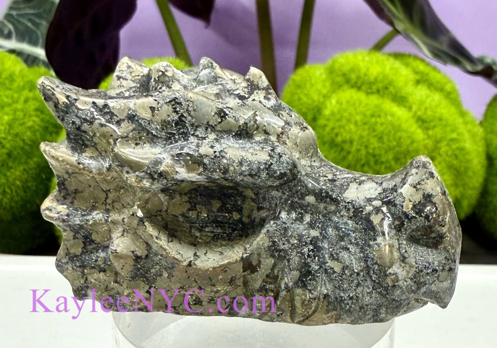 Wholesale Lot 5 Pcs 7.5cm Natural Black Pyrite Dragon Head