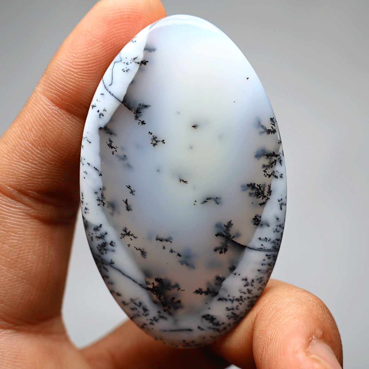 20g Australian Natural Dendrite Opal Collectible High Quality Crystal Palmstone