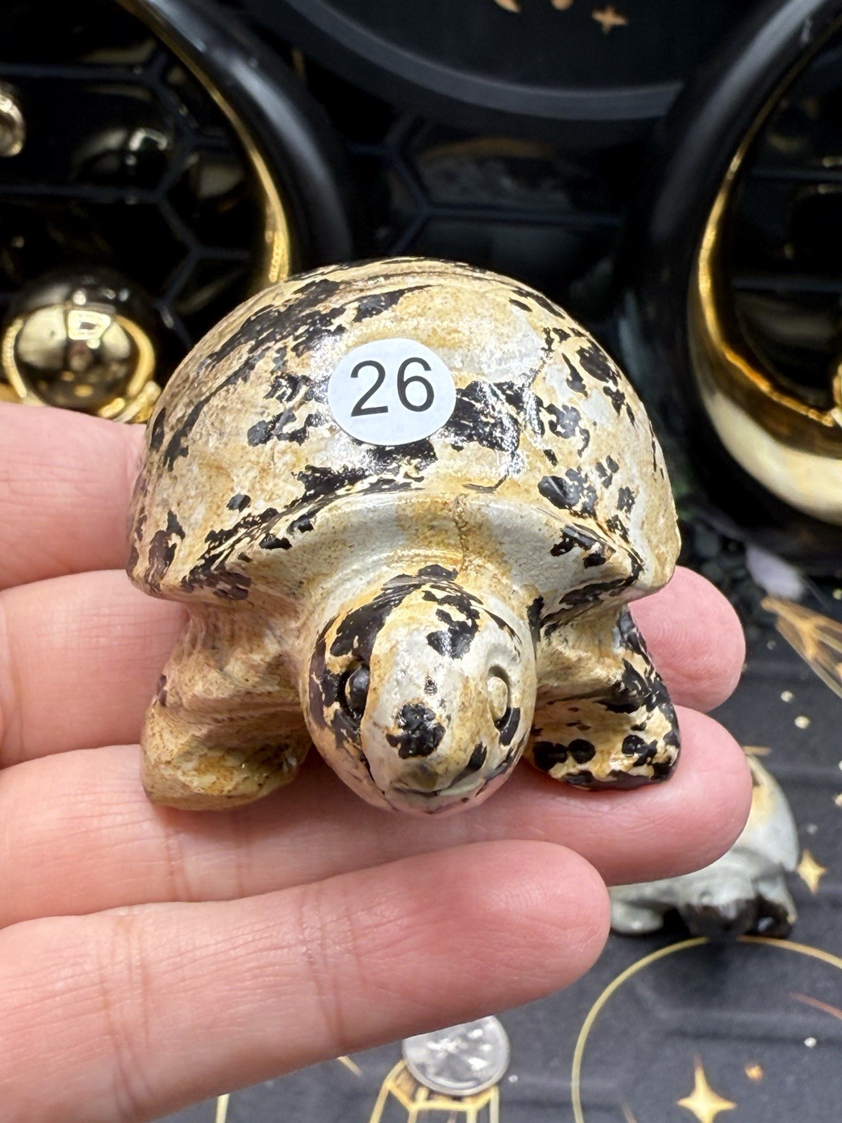 Natural Picture Jasper Land Turtle Tortoise Super Cute Carvings Free ship