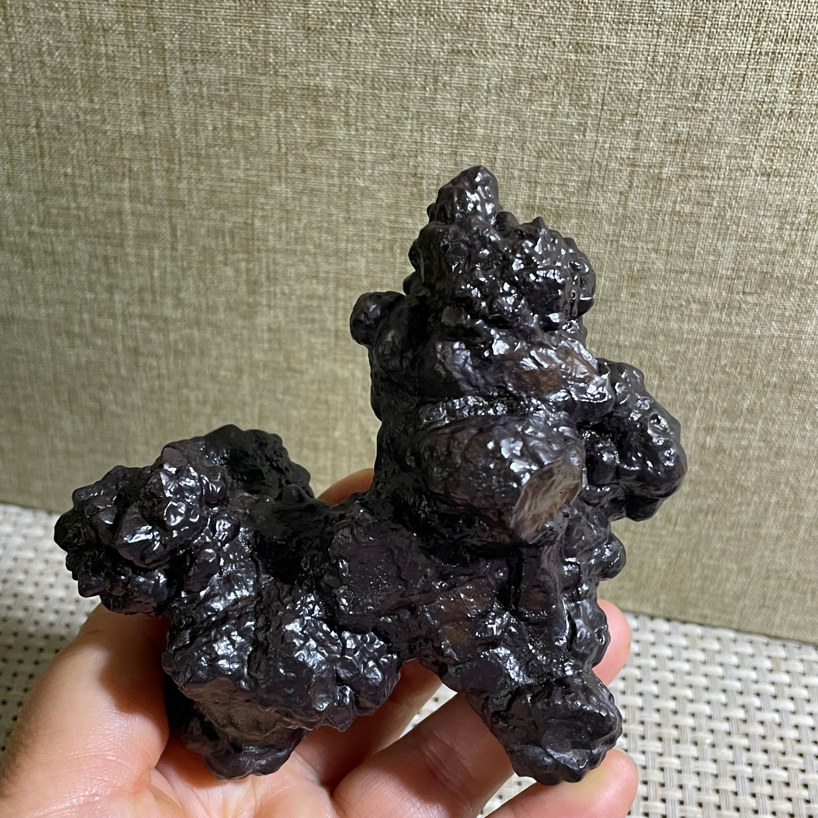 432g Limonite & Hematite pseudomorph after Marcasite Prophecy Rock Stone
