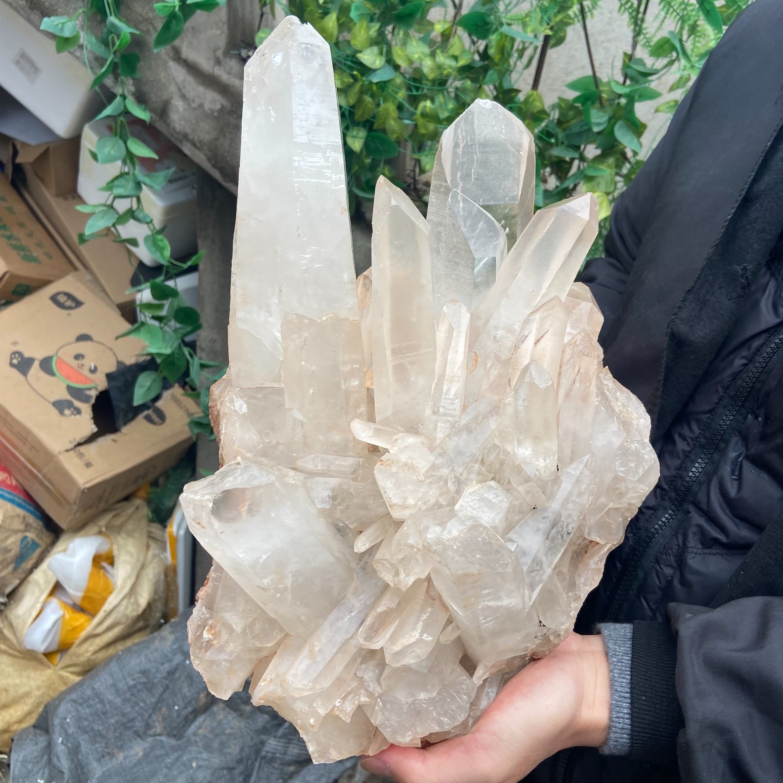 29.9lb Natural Clear White Crystal Quartz Cluster Rough Healing Specimen