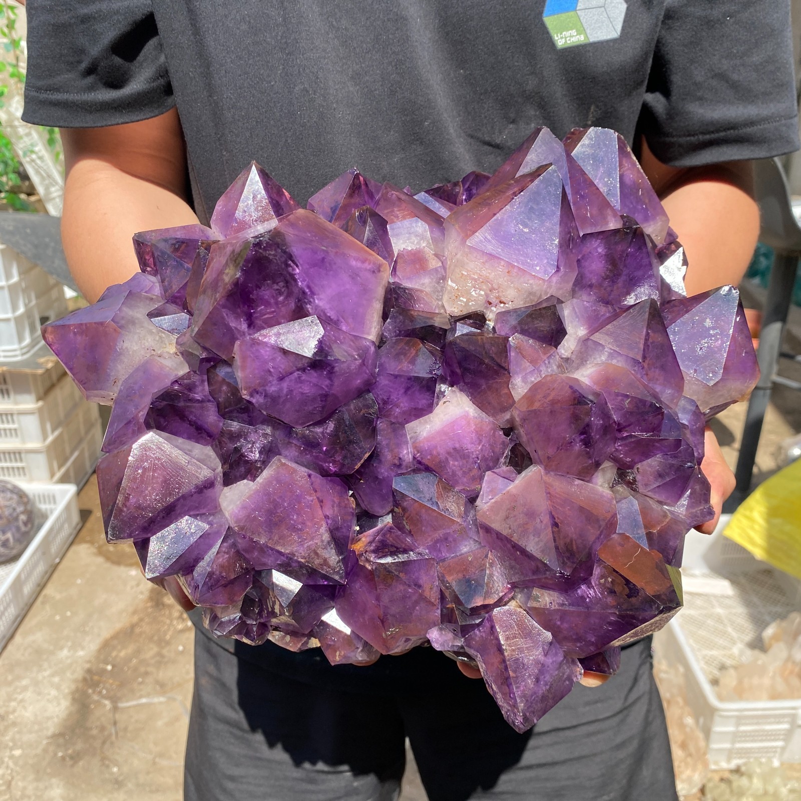26.2lb Natural Amethyst geode quartz cluster crystal specimen Healing