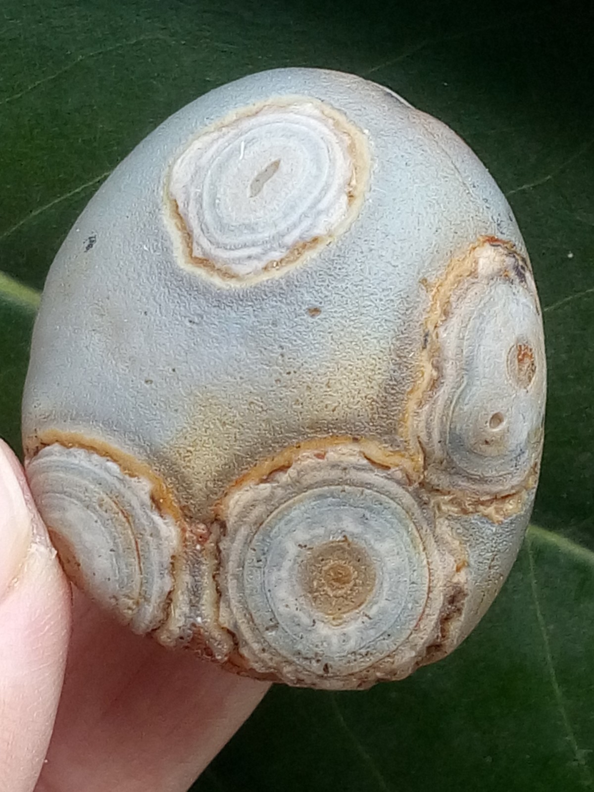 41mm Beautiful Natural Gobi agate eye agate collection Landscape stone