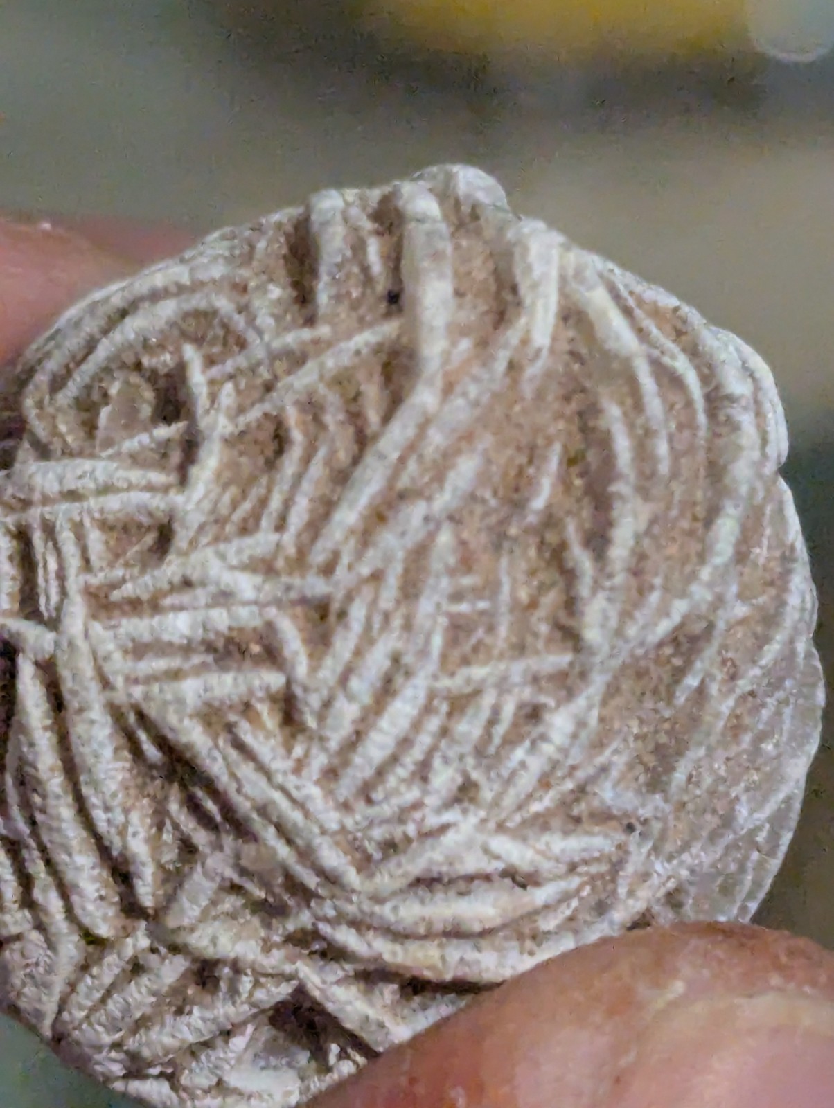 white Desert Rose Gypsum