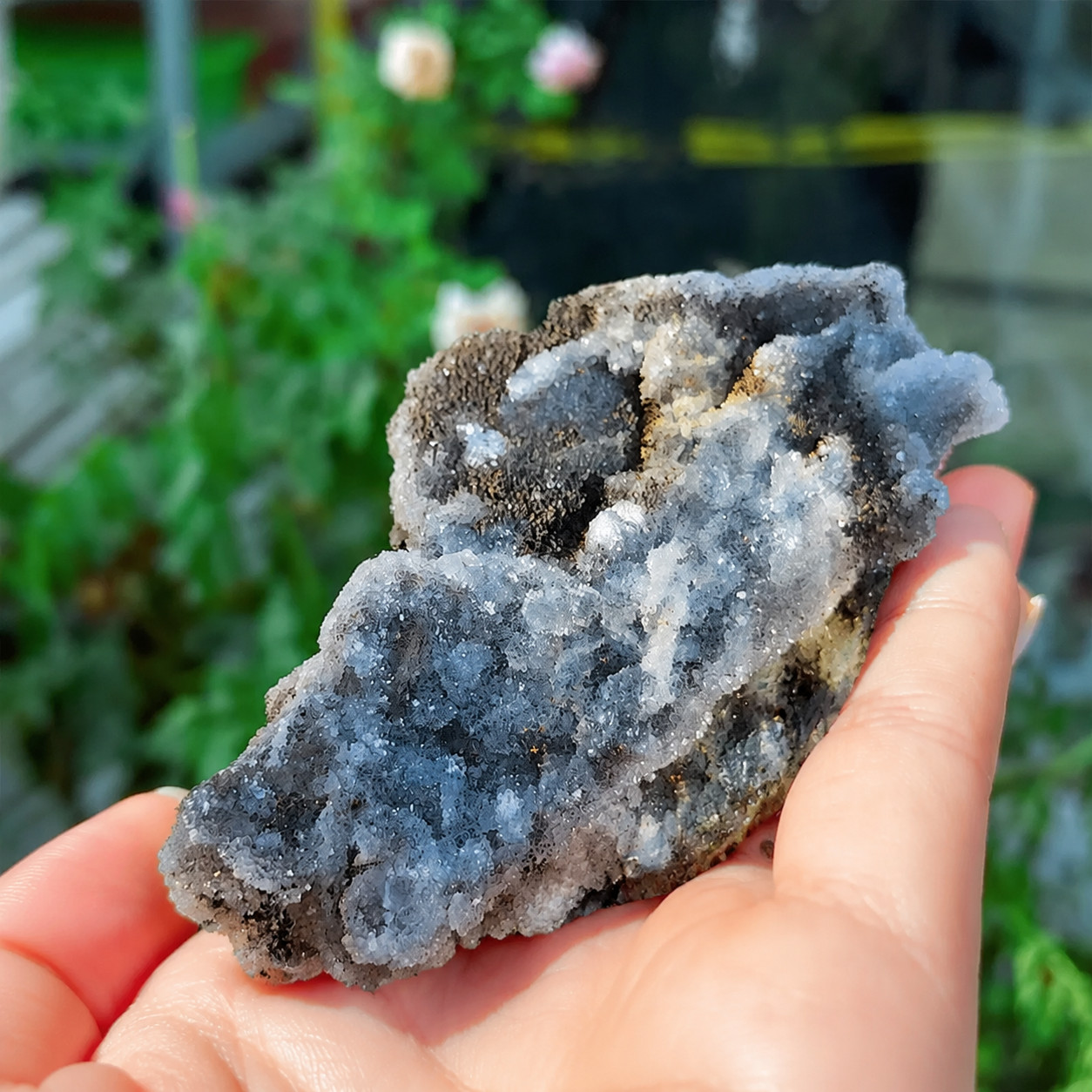 Natural Rare Black Druzy Sphalerite Crystal Cluster Raw Mineral Specimen Geode