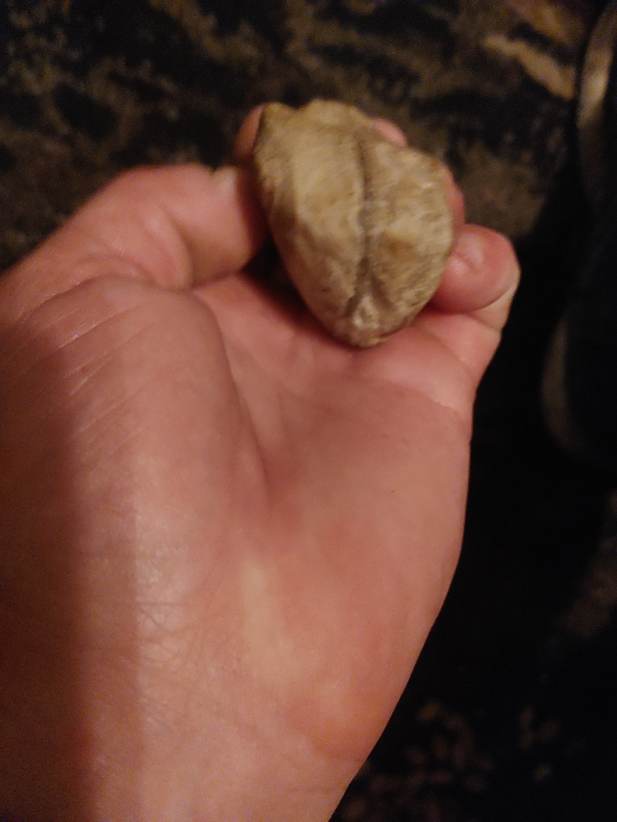 Native American Oracle Eye Rock!