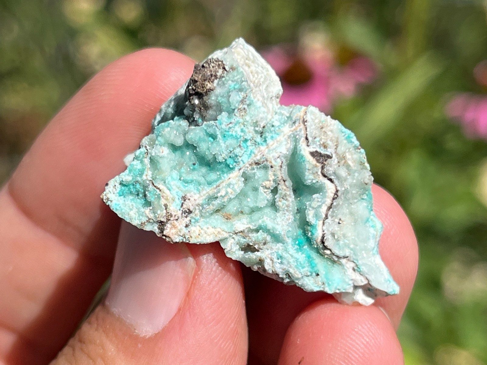 Smithsonite, Hydrozincite, Aurichalcite Cerro Gordo Mine, Inyo Co., California
