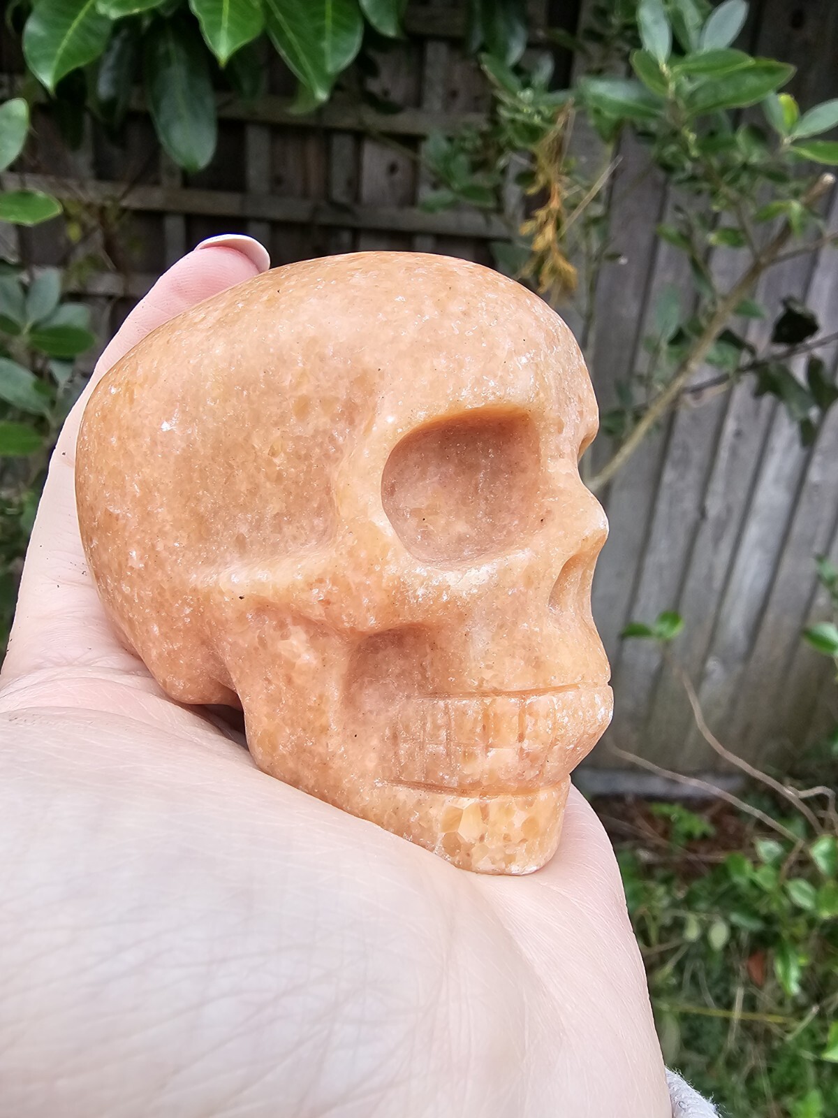 Sunstone crystal Skull Carving 379g 5.8x7x4.8cm Motivation Uplifting