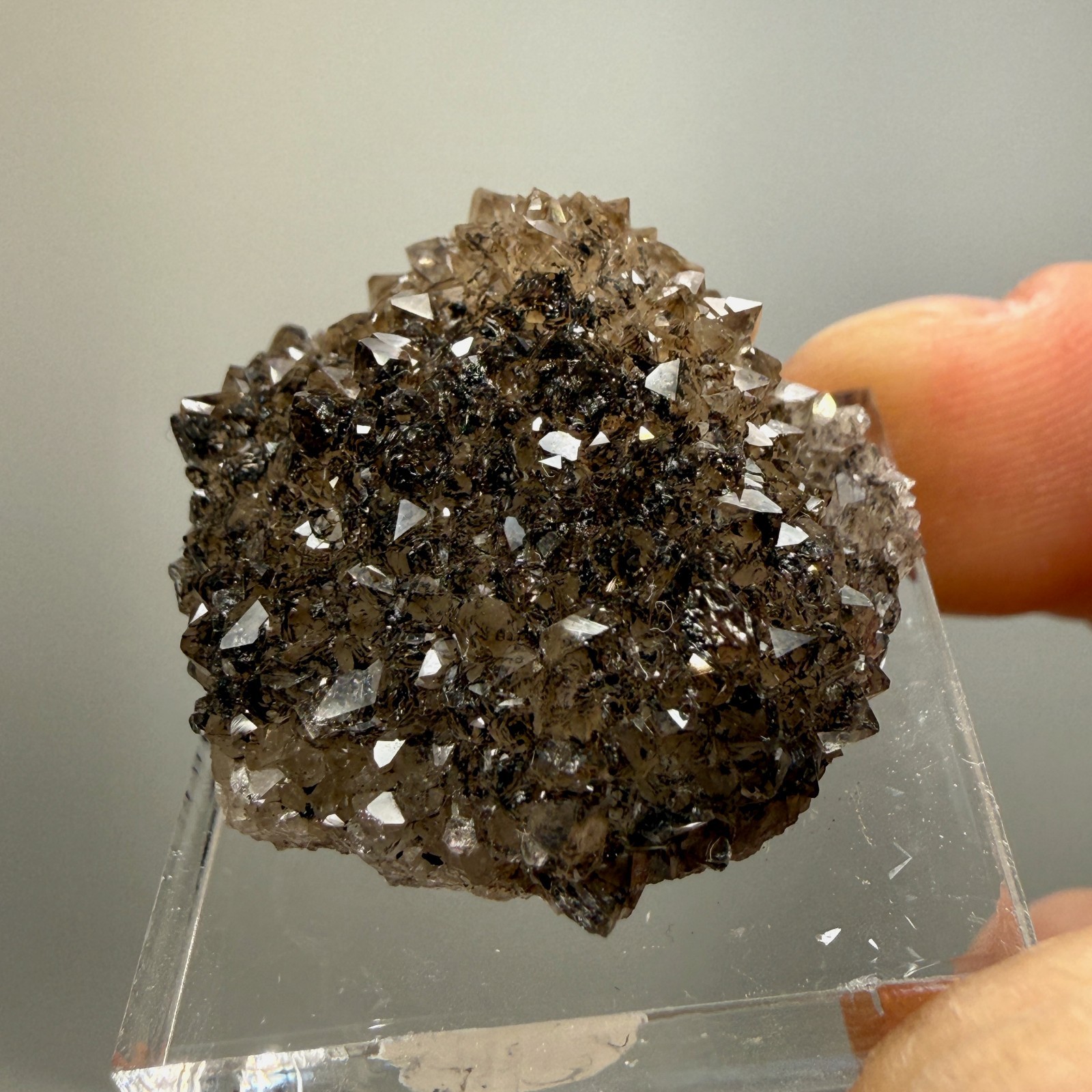 Herkimer Diamond Black + Gray Druze, Gemmy Points w/ Hydrocarbon, Rare Matrix