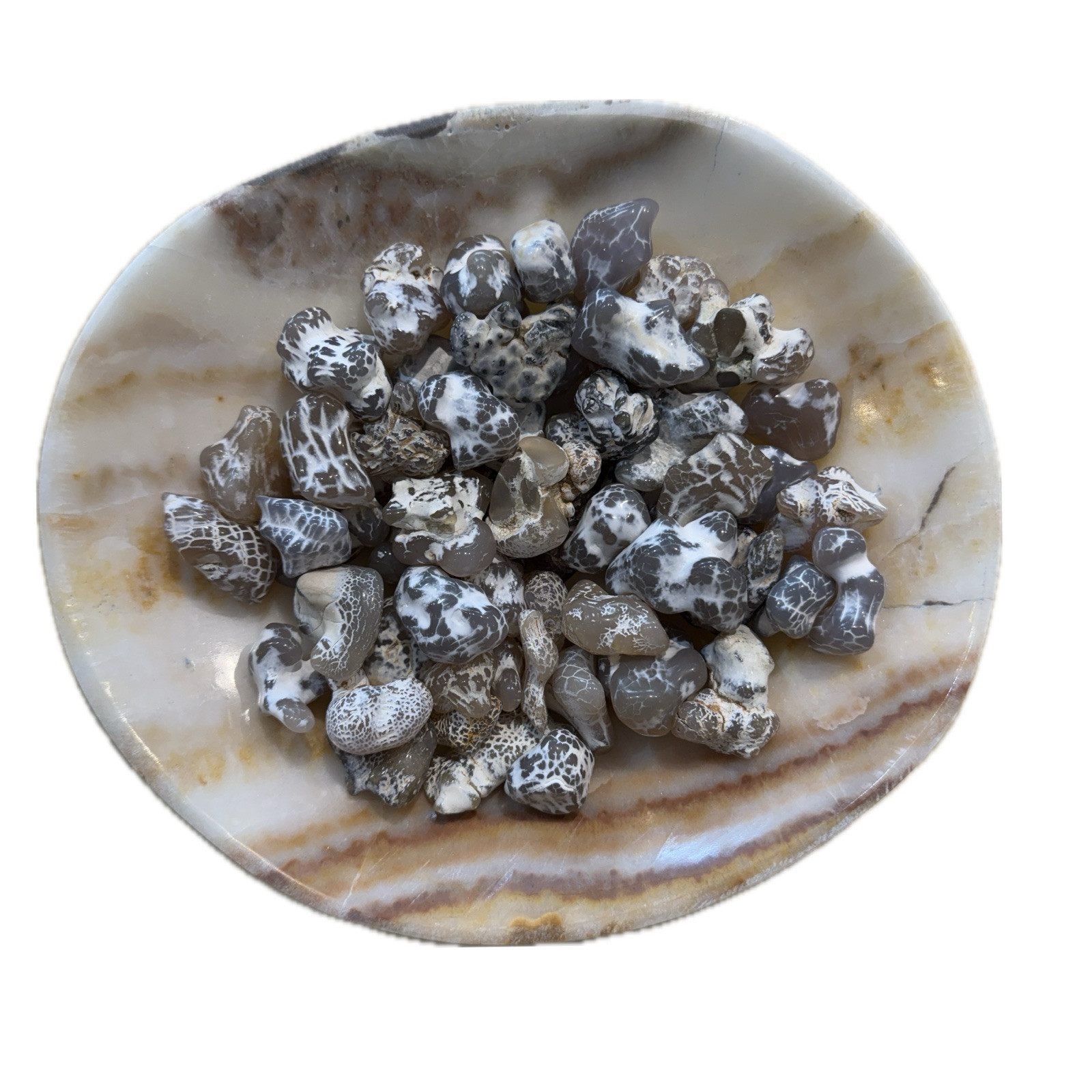 Snakeskin agate – spiritual healing crystal mineral stone authentic, Rome Oregon